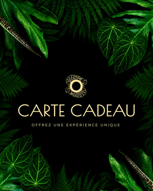 Carte Cadeau Opaline Jungle